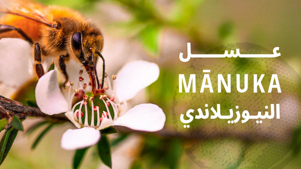 عسل ثري بيز عمان
